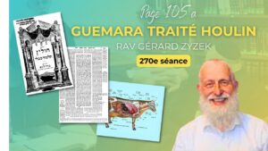 Traité Houlin avec Rav Gérard Zyzek